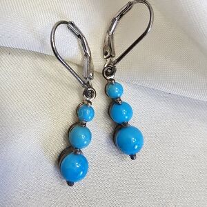 Arizona Sleeping Beauty Turquoise Lever-back Drop Earrings